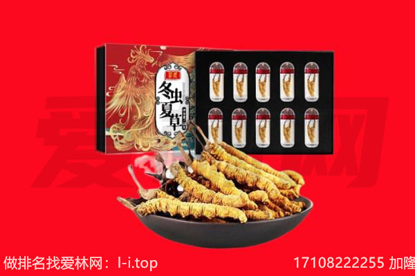 唐县回收虫草.jpg